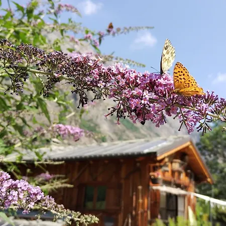 Appartement Casa Famiglia Belli *